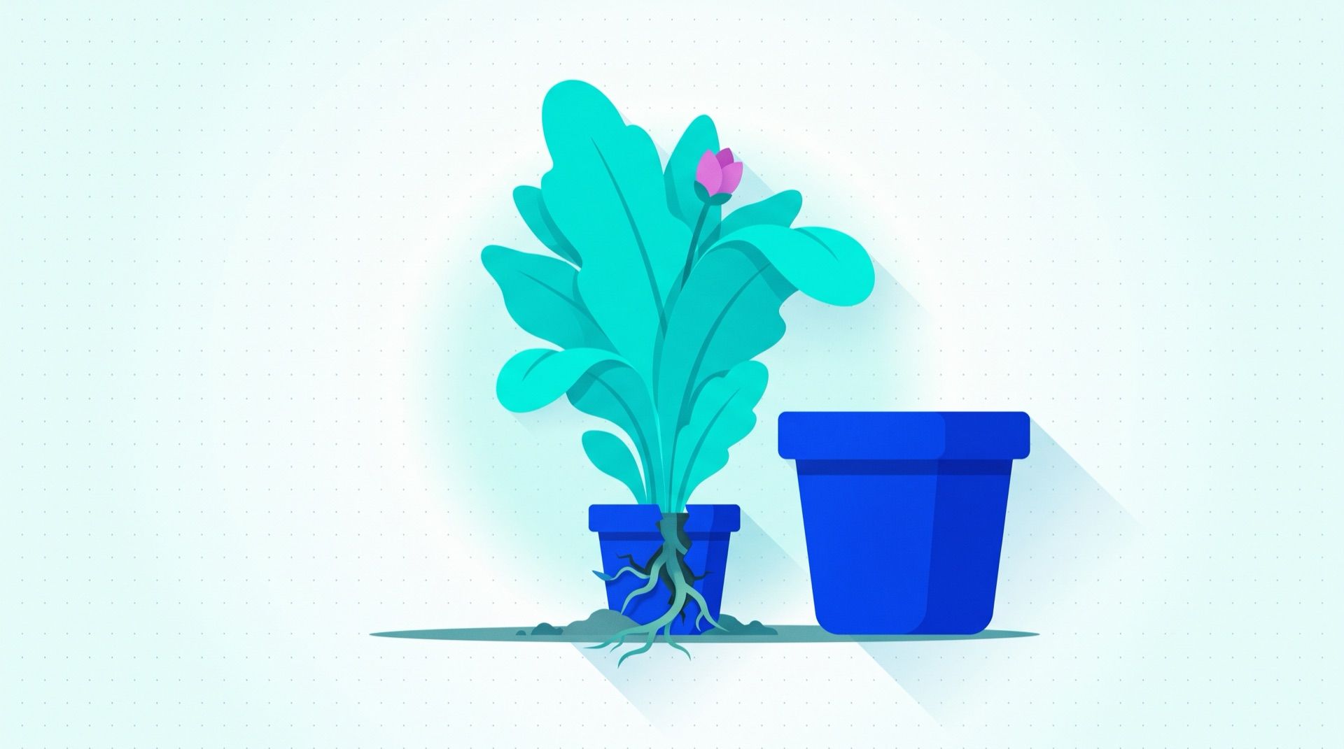 A leafy plant that has outgrown its small round pot, roots cracking through the side, with a larger empty pot waiting beside it